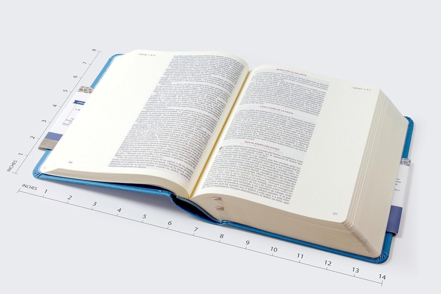 iblia Católica de Apuntes (Edición Especial en Tela Azul - Letra Confortable)