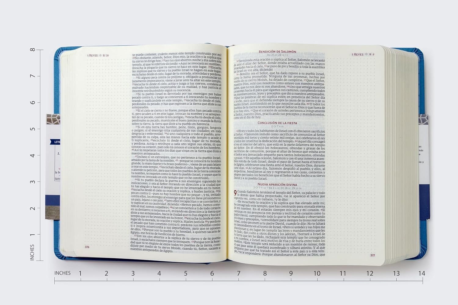 iblia Católica de Apuntes (Edición Especial en Tela Azul - Letra Confortable)