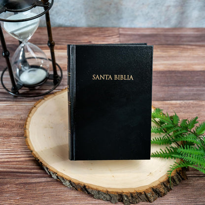 Biblia Sagrada NVI (Edición de Regalo - Tapa Dura Negra)
